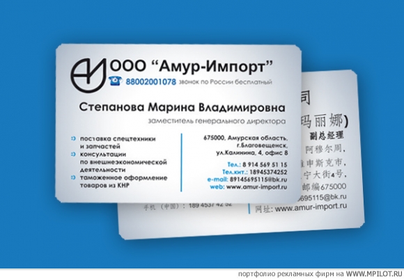 Визитки &quot;Амур-Импорт&quot;.  Образец портфолио - Дизайн. Восток-1 - Благовещенск