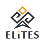 Студия интернет-решений «ELiTES» Создание и продвижение сайтов Логотип Студия интернет-решений «ELiTES» Создание и продвижение сайтов